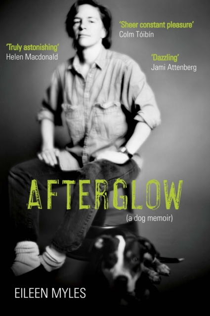 Afterglow : A Dog Memoir, Paperback / softback Book