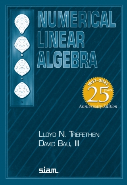 Numerical Linear Algebra, Paperback / softback Book