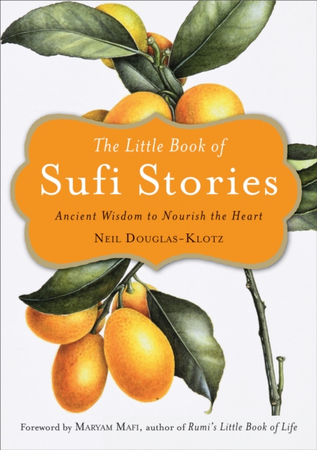 The Little Book of Sufi Stories : Ancient Wisdom to Nourish the Heart, EPUB eBook