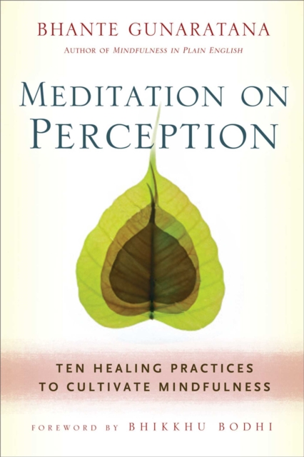 Meditation on Perception : Ten Healing Practices to Cultivate Mindfulness, EPUB eBook