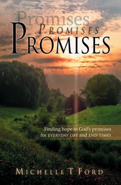 Promises, Promises, Promises, Paperback / softback Book