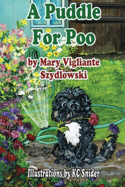 A Puddle for Poo, Paperback / softback Book