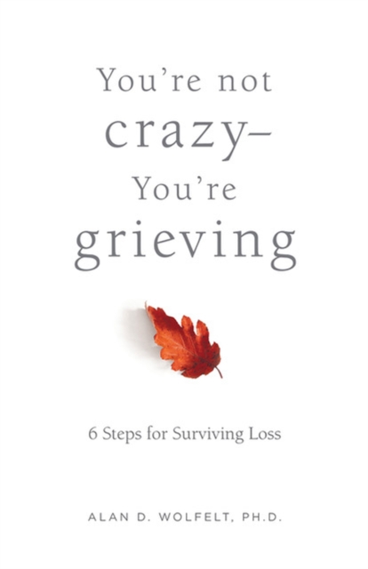 You’re Not Crazy—You’re Grieving: : 6 Steps for Surviving Loss, Paperback / softback Book