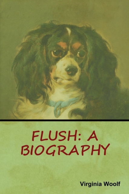 Flush : A Biography, Paperback / softback Book