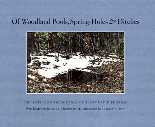 Of Woodland Pools, Spring-Holes and Ditches : Excerpts from the Journal of Henry David Thoreau, Paperback / softback Book