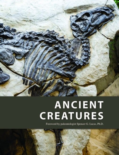 Ancient Creatures, Hardback Book