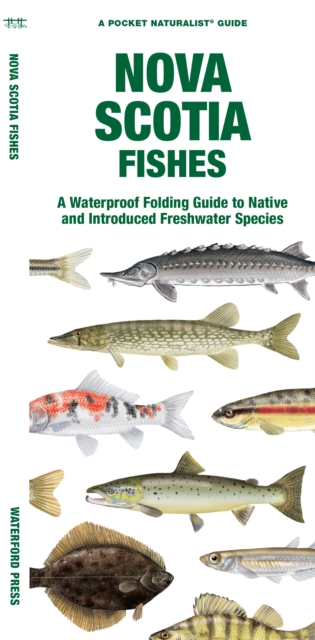 Nova Scotia Fishes : A Waterproof Folding Guide to Native and Introduced Freshwater Species, Pamphlet Book