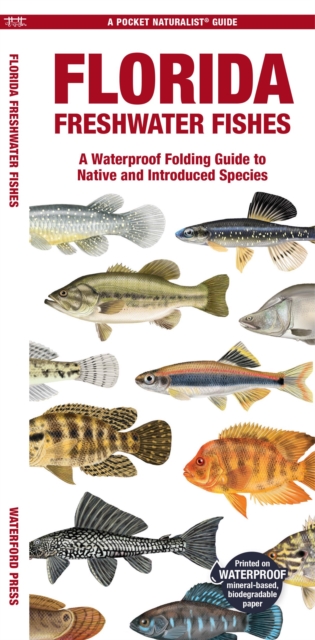 Florida Freshwater Fishes : A Waterproof Folding Guide to Native and Introduced Species, Pamphlet Book
