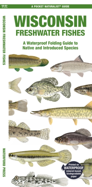 Wisconsin Freshwater Fishes : A Waterproof Folding Guide to Native and Introduced Species, Pamphlet Book