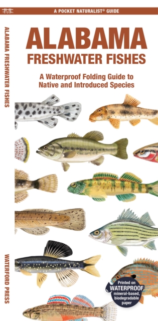 Alabama Freshwater Fishes : A Waterproof Folding Guide to Native and Introduced Species, Pamphlet Book