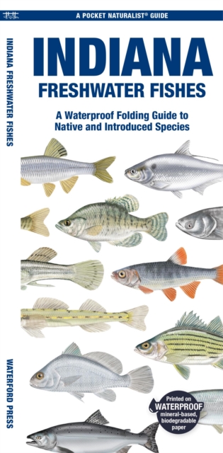Indiana Freshwater Fishes : A Waterproof Folding Guide to Native and Introduced Species, Pamphlet Book