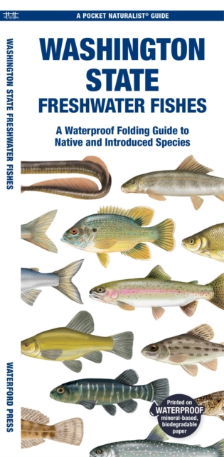 Washington State Freshwater Fishes : A Waterproof Folding Guide to Native and Introduced Species, Pamphlet Book