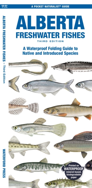 Alberta Freshwater Fishes : A Waterproof Folding Guide to Native and Introduced Species, Pamphlet Book