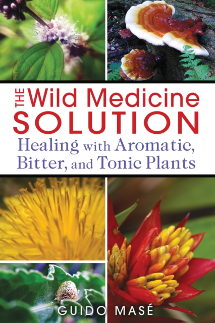 The Wild Medicine Solution : Healing with Aromatic, Bitter, and Tonic Plants, Paperback / softback Book