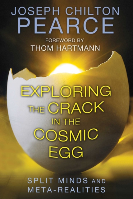 Exploring the Crack in the Cosmic Egg : Split Minds and Meta-Realities, EPUB eBook
