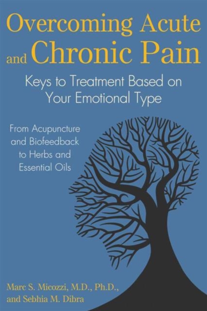 Overcoming Acute and Chronic Pain : Keys to Treatment Based on Your Emotional Type, Paperback / softback Book
