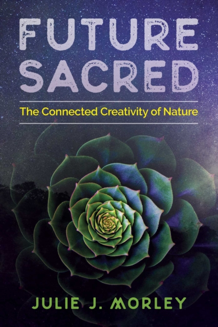 Future Sacred : The Connected Creativity of Nature, Paperback / softback Book