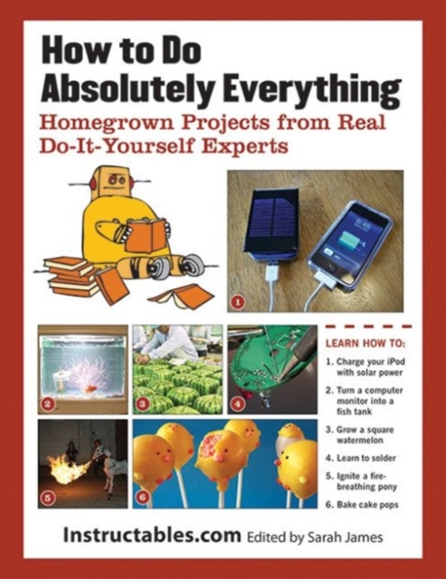 How to Do Absolutely Everything : Homegrown Projects from Real Do-It-Yourself Experts, Paperback / softback Book