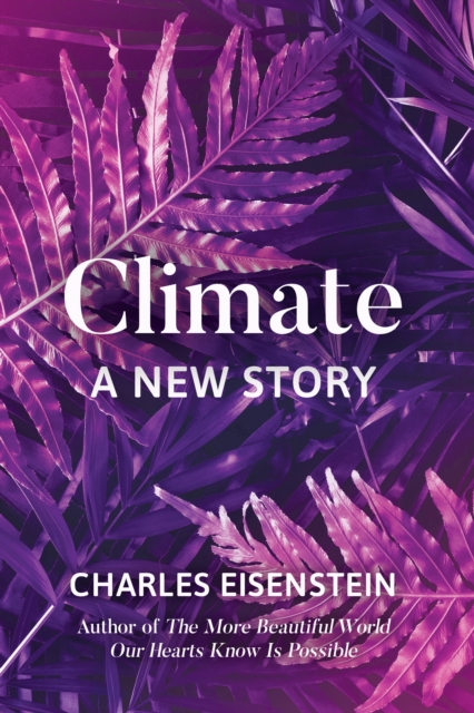 Climate--A New Story, Paperback / softback Book