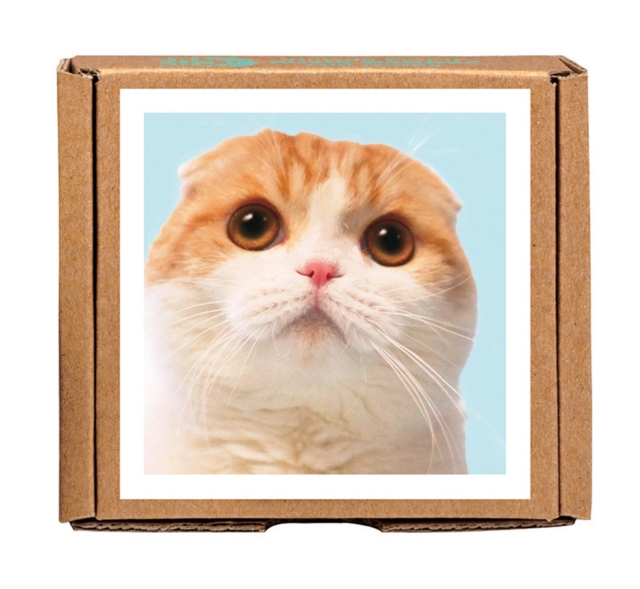 Waffles the Cat GreenGift-Notes, Cards Book