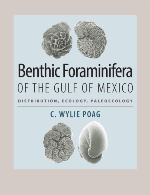 Benthic Foraminifera of the Gulf of Mexico : Distribution, Ecology, Paleoecology, Hardback Book