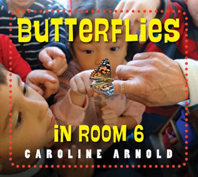 Butterflies in Room 6 : See How They Grow, Paperback / softback Book