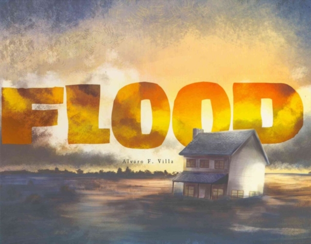Flood, Hardback Book