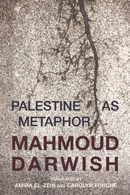 Palestine As Metaphor, Paperback / softback Book