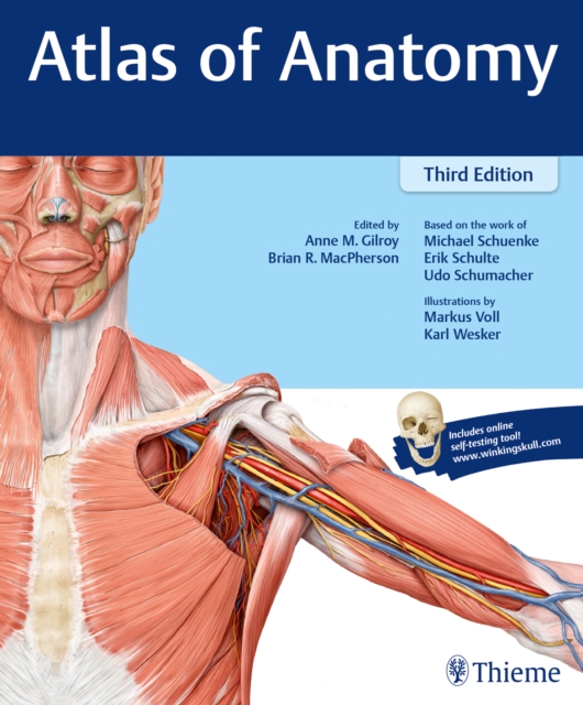 Atlas of Anatomy, Paperback / softback Book