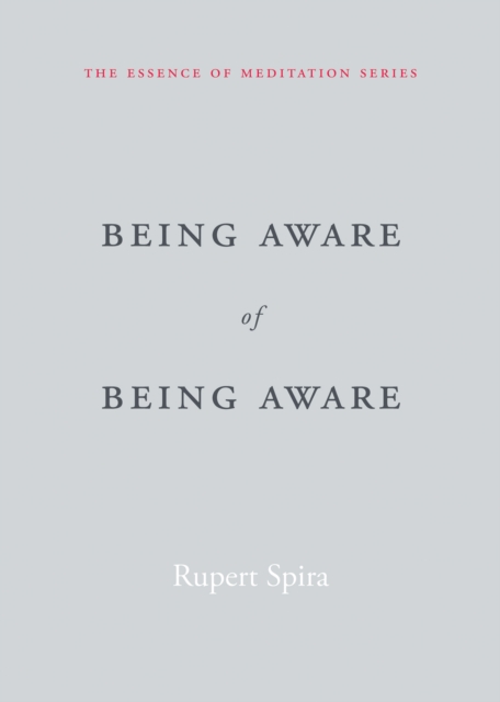 Being Aware of Being Aware, PDF eBook