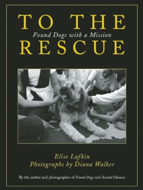 To the Rescue : Found Dogs with a Mission, Paperback / softback Book