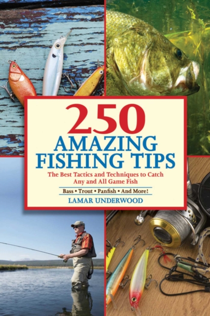 250 Amazing Fishing Tips : The Best Tactics and Techniques to Catch Any and All Game Fish, EPUB eBook