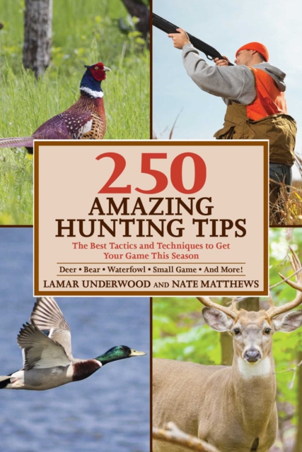 250 Amazing Hunting Tips : The Best Tactics and Techniques to Get Your Game This Season, EPUB eBook