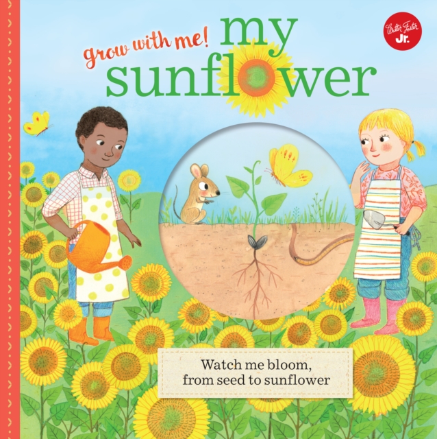 My Sunflower : Watch me bloom, from seed to sunflower, a pop-up book, Hardback Book