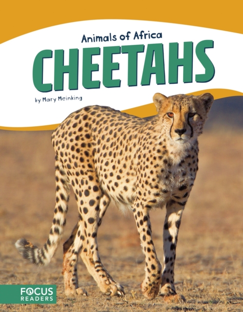 Animals of Africa: Cheetahs, Paperback / softback Book