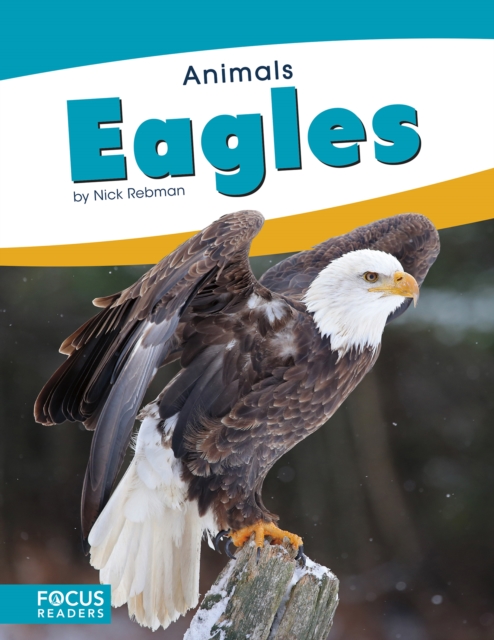 Animals: Eagles, Paperback / softback Book