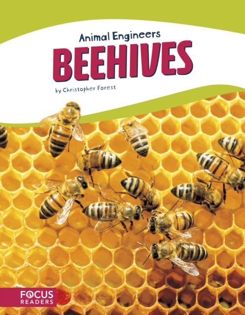 Animal Engineers: Beehives, Paperback / softback Book