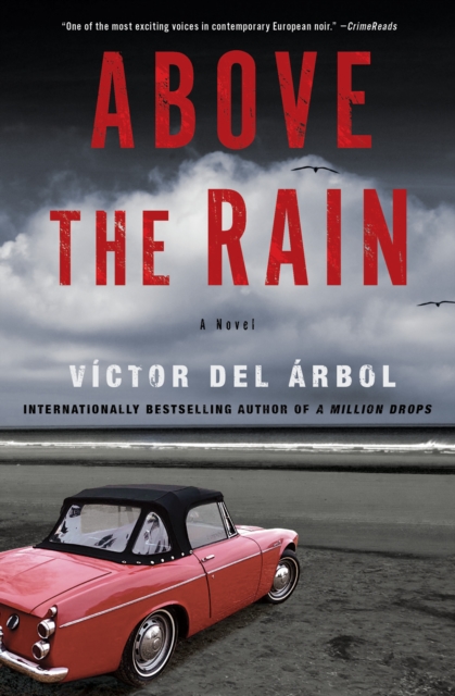 Above The Rain : A Novel, Paperback / softback Book