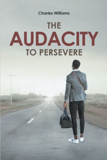 The Audacity To Persevere, EPUB eBook