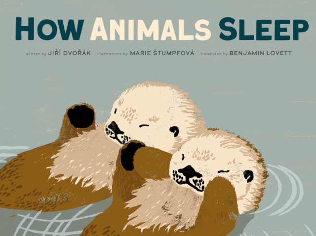 How Animals Sleep, EPUB eBook