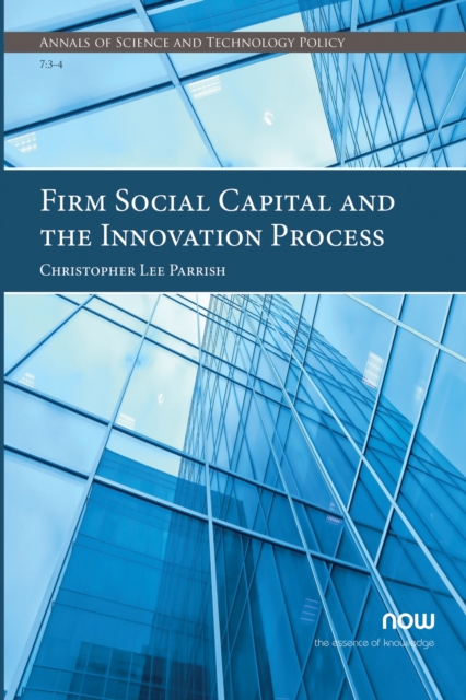 Firm Social Capital and the Innovation Process, Paperback / softback Book
