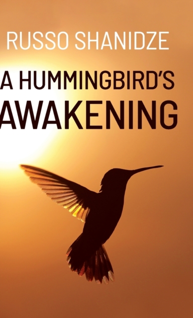 A Hummingbird's Awakening, Hardback Book