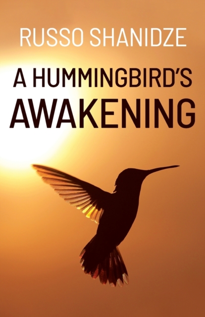 A Hummingbird's Awakening, Paperback / softback Book