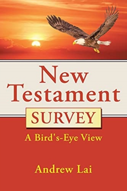 New Testament Survey : A Bird's-Eye View, Paperback / softback Book