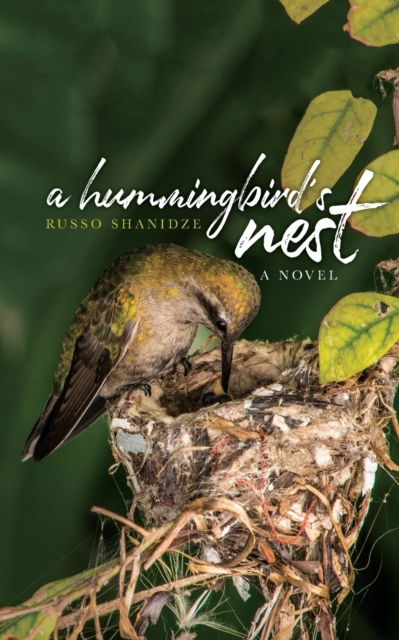 A Hummingbird's Nest, Paperback / softback Book