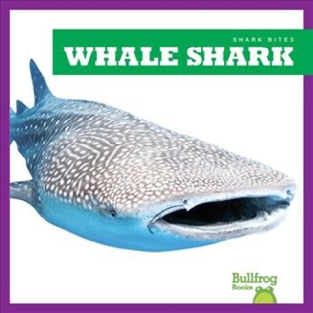 Whale Shark, Hardback Book
