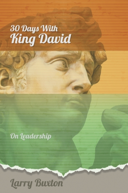 Thirty Days With King David : On Leadership, Paperback / softback Book