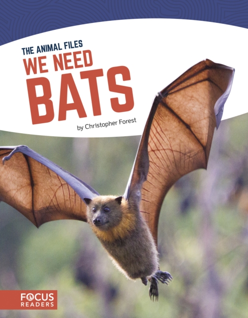 Animal Files: We Need Bats, Hardback Book