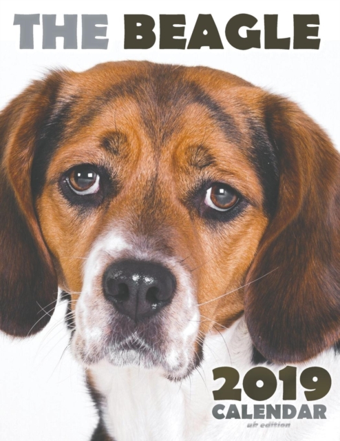 The Beagle 2019 Calendar (UK Edition), Paperback / softback Book