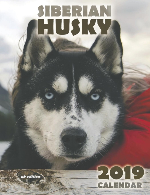 The Siberian Husky 2019 Calendar (UK Edition), Paperback / softback Book